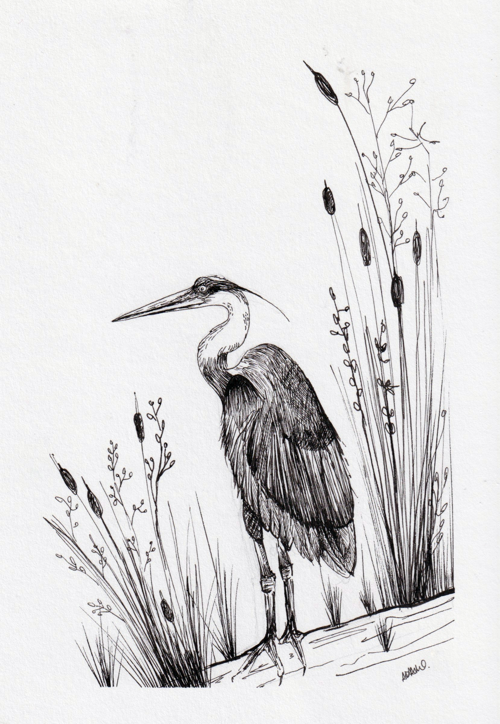 Dessin